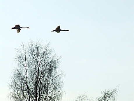 Orai: vėl prireiks šiltų rūbų Orai: vėl prireiks šiltų rūbų