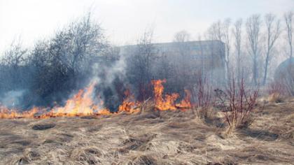 Žolės gaisrai – išdega hektarai