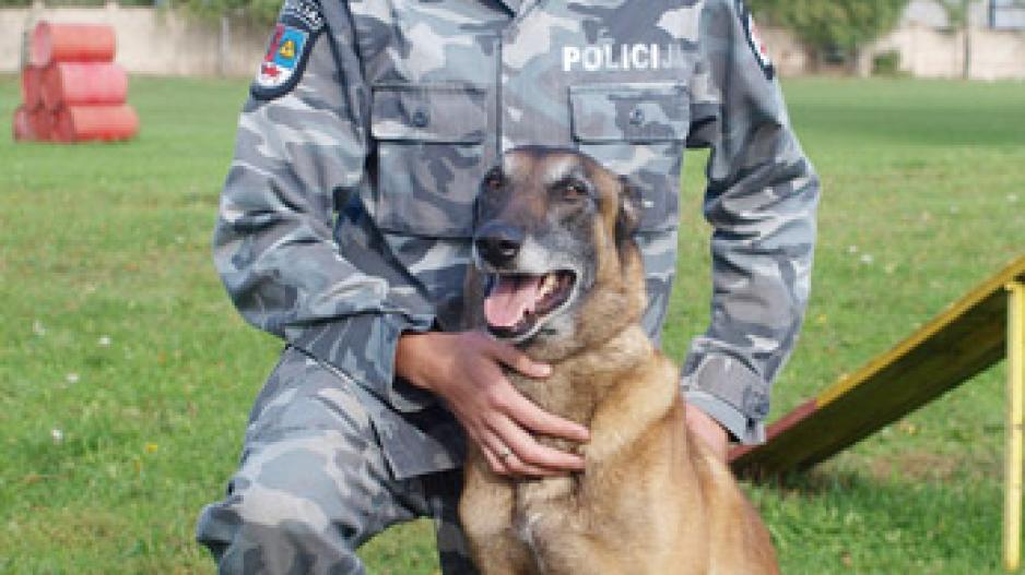 Įtariamąjį susekė policijos šuo Bondas Įtariamąjį susekė policijos šuo Bondas